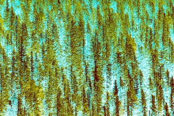 L 044A